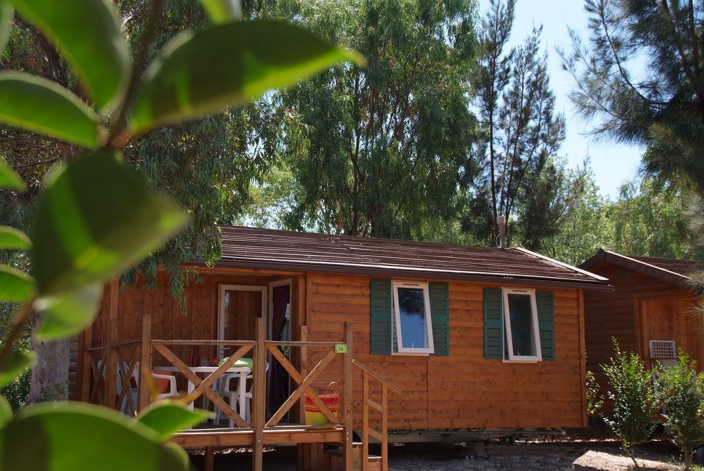 Camping Les Palmiers Hyères Habitación foto
